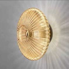 a gold scallop is shown against a gray background with light coming through it