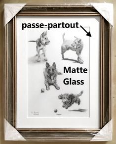 a frame with pictures of dogs on it and the words passe - partout