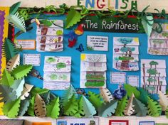 the rainforest bulletin board is decorated with paper cut outs