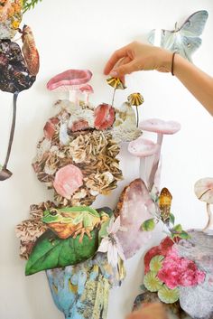 a person reaching for some mushrooms on the side of a wall with other things in it