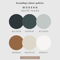 the color palette for modern earth tones