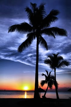 the sun is setting behind two palm trees