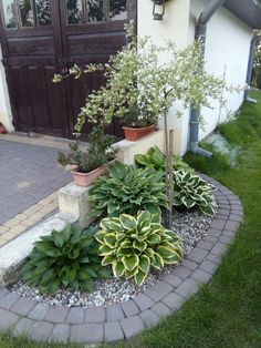 some plants are in pots on the side of a house and there is a brick walkway leading up to the front door