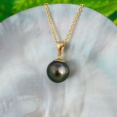 Genuine Flawless Vibrant and Lustrous Peacock Tahitian Pearl pendant set on a solid 18k gold bail . Simple , timeless and elegant. You can never go wrong with a simple Tahitian Pearl Pendant . Everyone should own one !  ✨You will get the exact pendant pictured .  ✨We offer a FREE 14k gold filled chain with your purchase ! Please specify your desired length .  I T E M . D E T A I L S ✨Tahitian pearl : Size : 10.9mm  Shape :  Near Round  Color : Perfect mix of green and pink hues .  As seen in pictures.  Quality : A or AAA+  Surface :Flawless with very clean and smooth surface .  Luster : Excellent.  ✨All of our pearls are hand picked directly from local farmers in Tahiti. We personally fly to Tahiti and hand pick each pearl . They are all certified and authenticated  by the local government Pearl Pendant Set, Tahitian Pearls Jewelry, Tahitian Pearl Pendant, Tahitian Pearl Necklace, Tahitian Pearls, Green And Pink, Pearl Size, Pure Gold, Gold Filled Jewelry