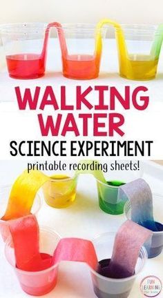 the science experiment is fun and easy for kids to do while they are on vacation