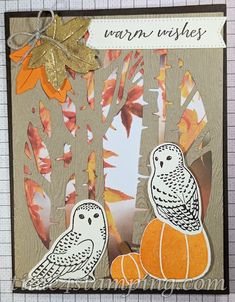 a card with two owls sitting on an orange pumpkin