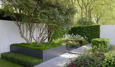 an outdoor garden with various types of plants and trees in the area, including boxwood