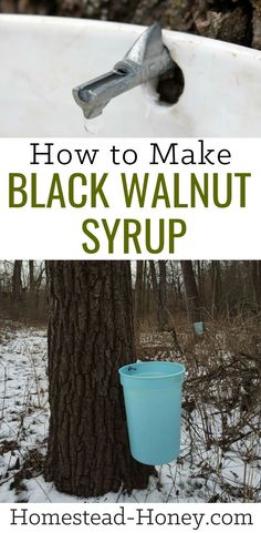 a white surfboard sitting next to a tree with the words how to make black walnut syrup