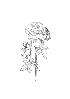 a black and white drawing of a rose with two cherubs sitting on it