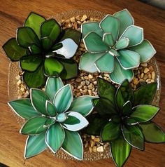 some green plants are sitting on a glass platter with gravel and rocks around them