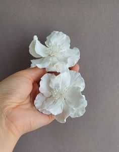 three white flowers are being held in the palm of someone's left hand on a gray background