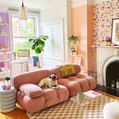 a living room with pink couches and a dog laying on top of the couch