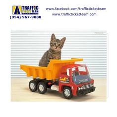 a cat sitting in the back of a toy dump truck with a kitten on top