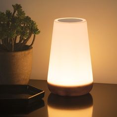 a small potted plant sitting next to a white light on top of a table