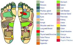 green Pressure Points Chart, Acupressure Points Chart, Reflexology Hand, Foot Pressure Points, Anti Candida Recipes, Hand Chart, Reflexology Pressure Points, Body Pressure Points