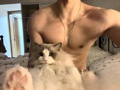 a shirtless man is holding a fluffy cat on his chest and posing for the camera