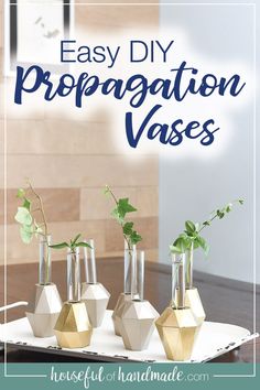 three vases with plants in them sitting on a tray that says easy diy propagation vases