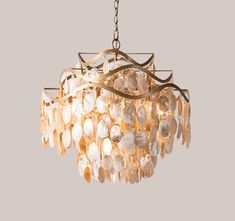 a chandelier with shells hanging from it's center and two lights on each side