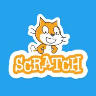 an orange and white cat with the word scratch on it