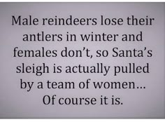 Office Sayings, Sassy Sayings, Santa's Sleigh, Twisted Humor, Just Funny, Christmas Quotes, Laugh Out Loud, Makes Me Laugh