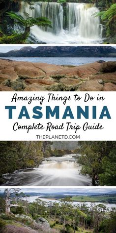 the top things to do in tasmania complete road trip guide