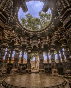 the inside of an old building with columns and trees growing out of it's sides