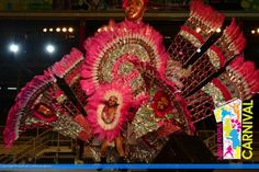 an elaborately decorated costume is displayed in front of the audience at a carnival event