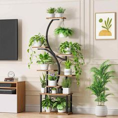 a living room with potted plants on the shelves and a television in the corner