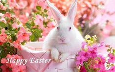 a white rabbit sitting in a basket with pink flowers