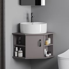 a bathroom with a toilet, sink and mirror on the wall next to a white toilet