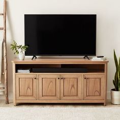 a flat screen tv sitting on top of a wooden entertainment center next to a potted plant