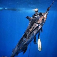 a man holding a large fish in the ocean with his hand on it's hook