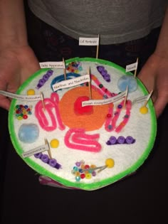 a person holding a cake decorated with candy