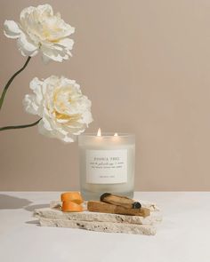 JOSHUA TREE Natural Candle by Orchid + Ash – Love.com Desert Magic, Candle Photography Ideas, Candle Photoshoot, Minimalist Candles, Natural Candle, Hand Painted Candles, Candles Photography, Coconut Wax Candles, Modern Candles