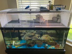 a large fish tank filled with lots of different types of marine animals in it's cage