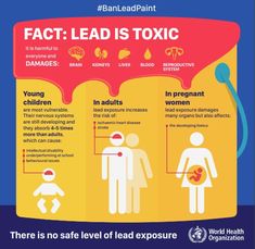 lead awareness - Google Search Pregnant Child, College Study, Reproductive System, Nursing Care, Study Tips College, Study Guide