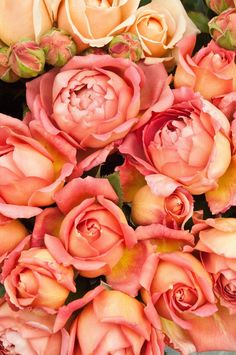 an arrangement of orange and pink roses