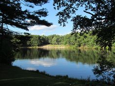 a body of water surrounded by trees and grass