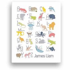 an animal alphabet poster with the letters in different colors and sizes, including elephants, lions,