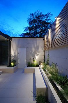 an outdoor garden with steps leading up to the front door