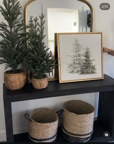 two baskets sitting on top of a table next to a mirror and potted plants