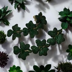 several green flowers and leaves on a white surface