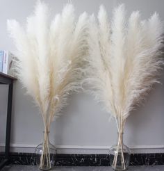 PRICES MAY VARY. Pampas Grass Decor Tall: Dried flower bouquet has 10 pcs large pampas grass, pampas grass decor tall has been carefully screened， The length of every pampas grass is 46 inches, the color of the tall pampas grass is beige, dried pampas grass is naturally fluffy, beautiful and elegant Boho Decor: Tall pampas have a boho style and are suitable for boho flowers, event decors, boho wall decor , boho wedding decor, boho party decorations, boho bathroom decor，boho table decor, and boho Floor Vases Decor, Dried Flowers For Wedding, Boho Party Decorations, Floor Vases, Boho Bathroom Decor, Natural Dried Flowers, Flowers For Wedding, Grass Decor, Pampas Grass Decor