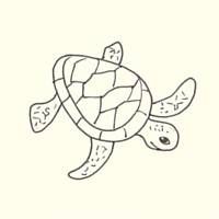 a drawing of a turtle on a white background