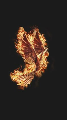 a bird flying through the air on fire