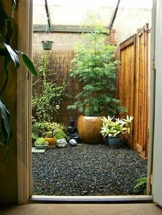 an open door leading to a small garden with potted plants on the ground and trees in the background