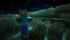 a minecraft character standing in the middle of a field at night