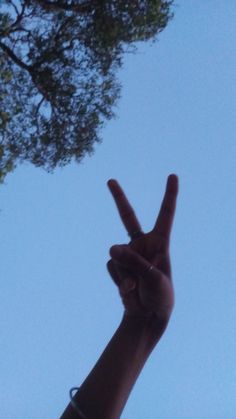 Peace Hand Sign | Peace, Peace fingers, Peace gesture