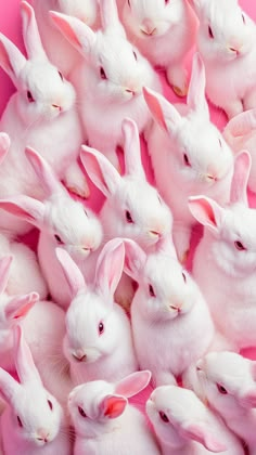 A Background, Lock Screen, Mobile Wallpaper, Home Screen, Digital Image, Easter, Screen, Wallpapers