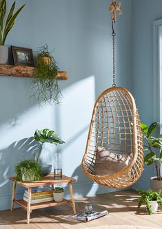 a living room with a hanging chair and potted plants